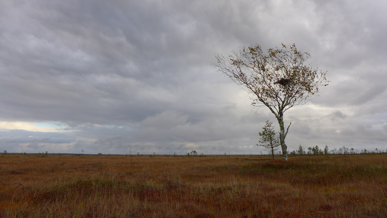 photo "***" tags: landscape, autumn