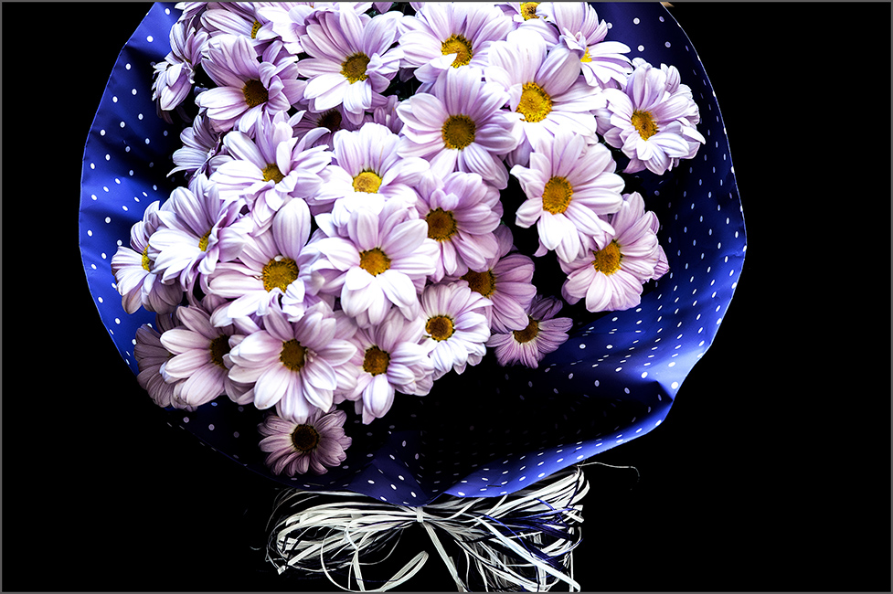 photo "***" tags: still life, misc., 