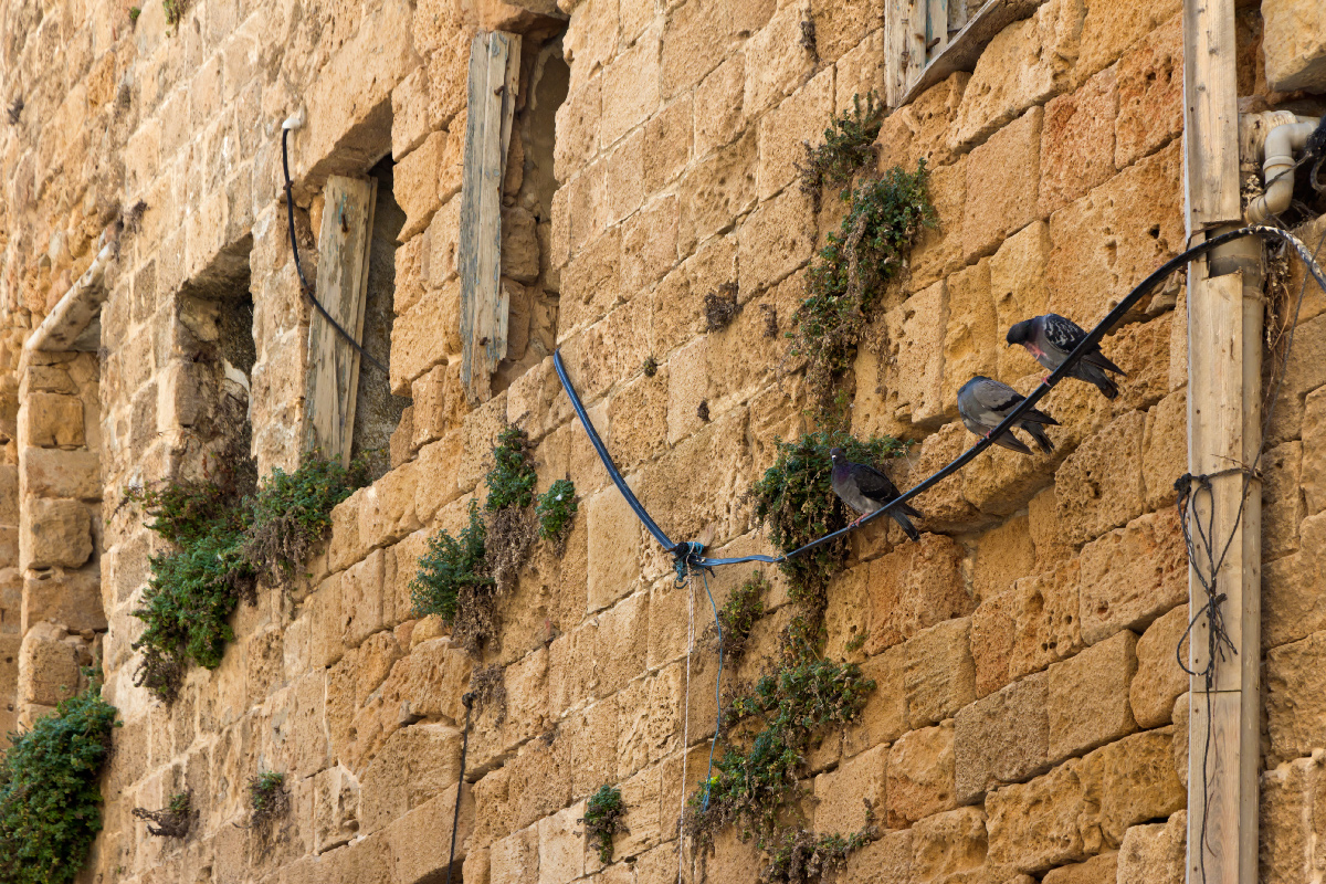 photo "***" tags: architecture, street, Israel, Акко