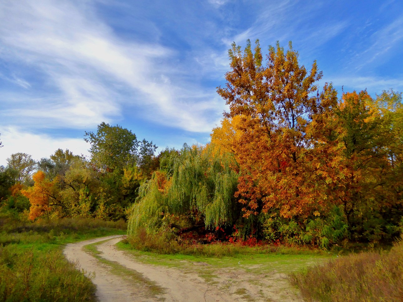 фото "Дорога в осень." метки: пейзаж, природа, 