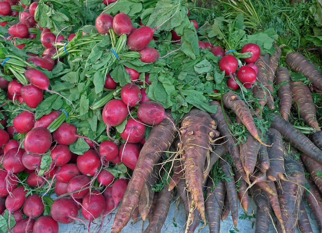 photo "***" tags: still life, 