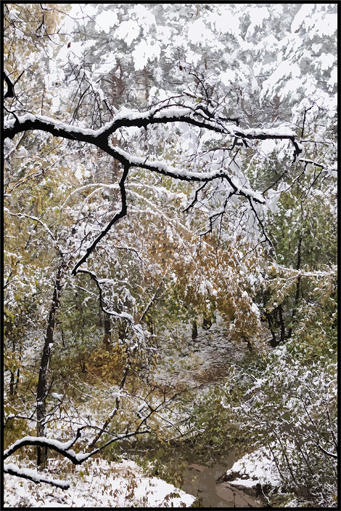 photo "***" tags: landscape, autumn, forest, snow, winter, ветки, деревья