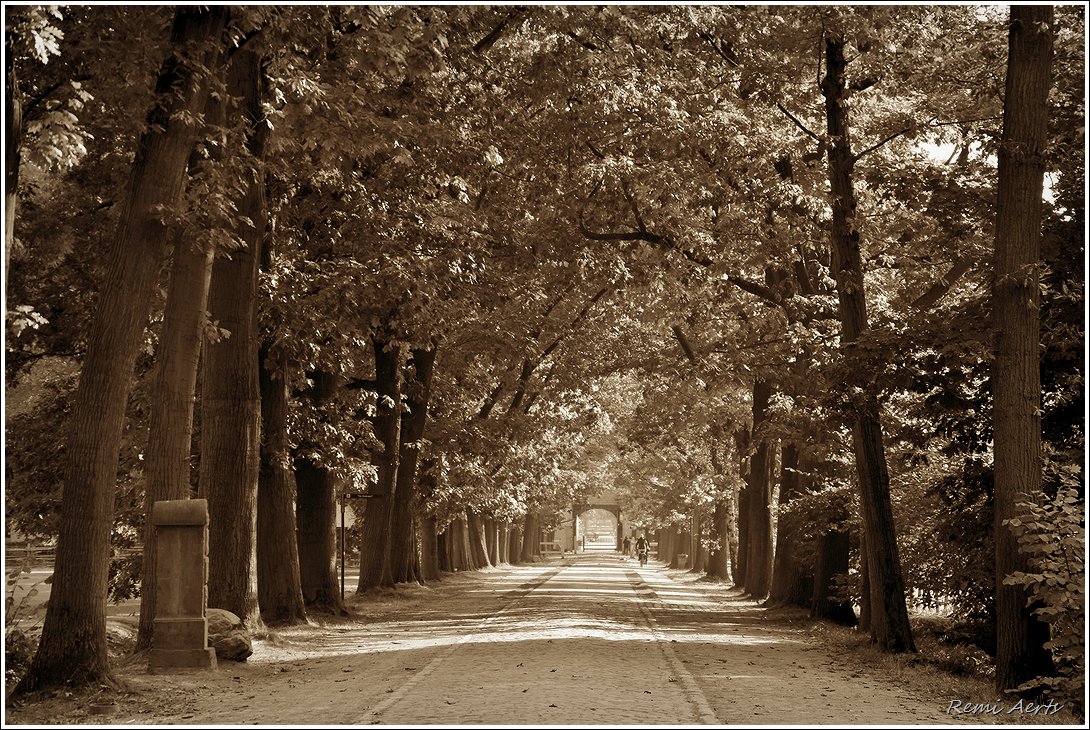photo "***" tags: landscape, nature, street, 