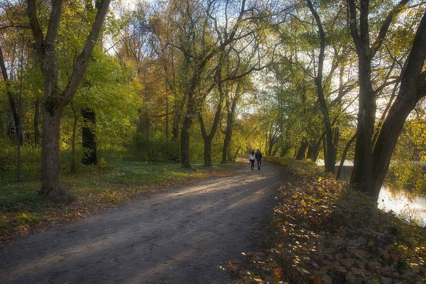 photo "***" tags: landscape, street, nature, 