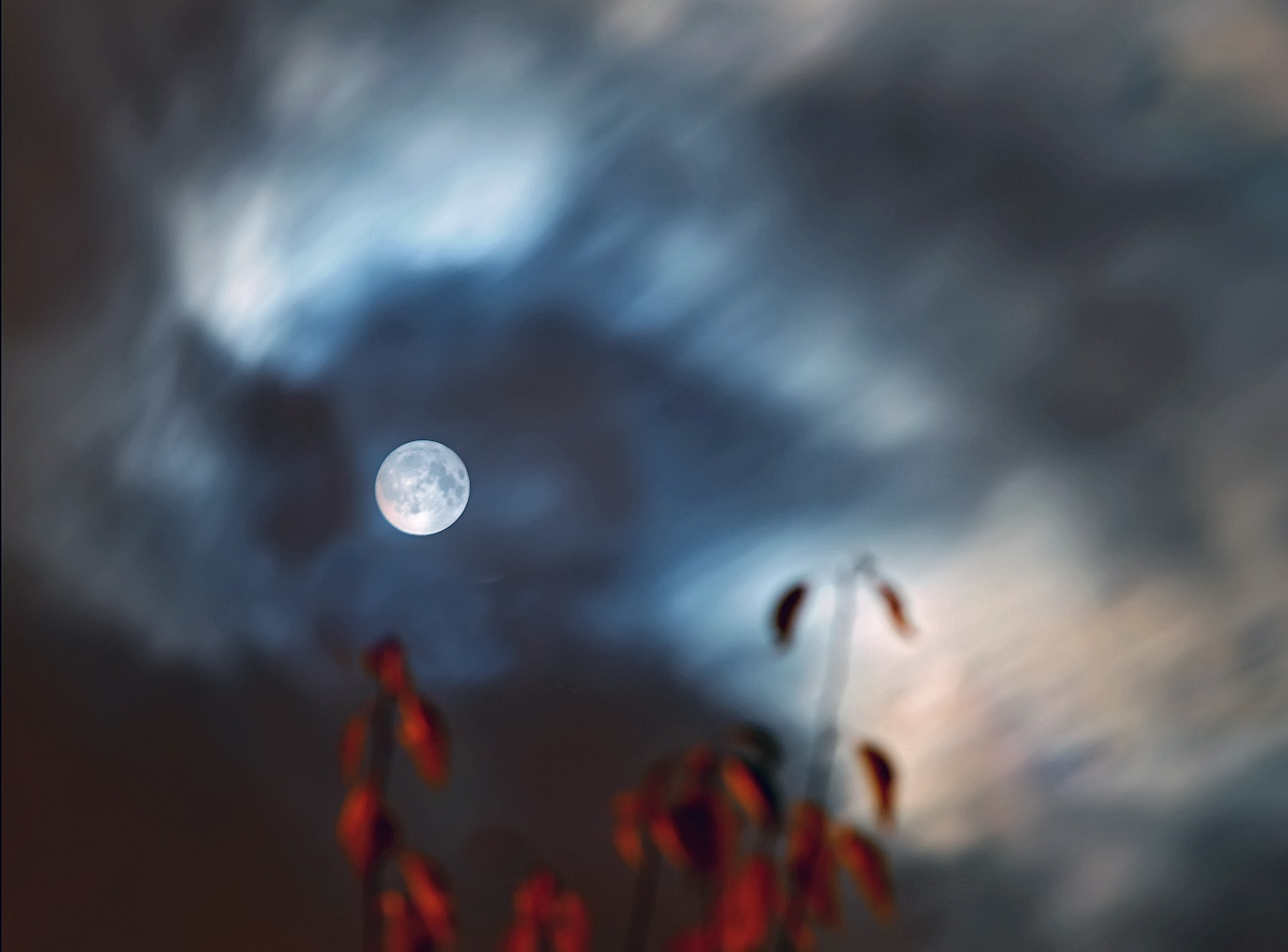 photo "night Eye" tags: nature, Moon, night