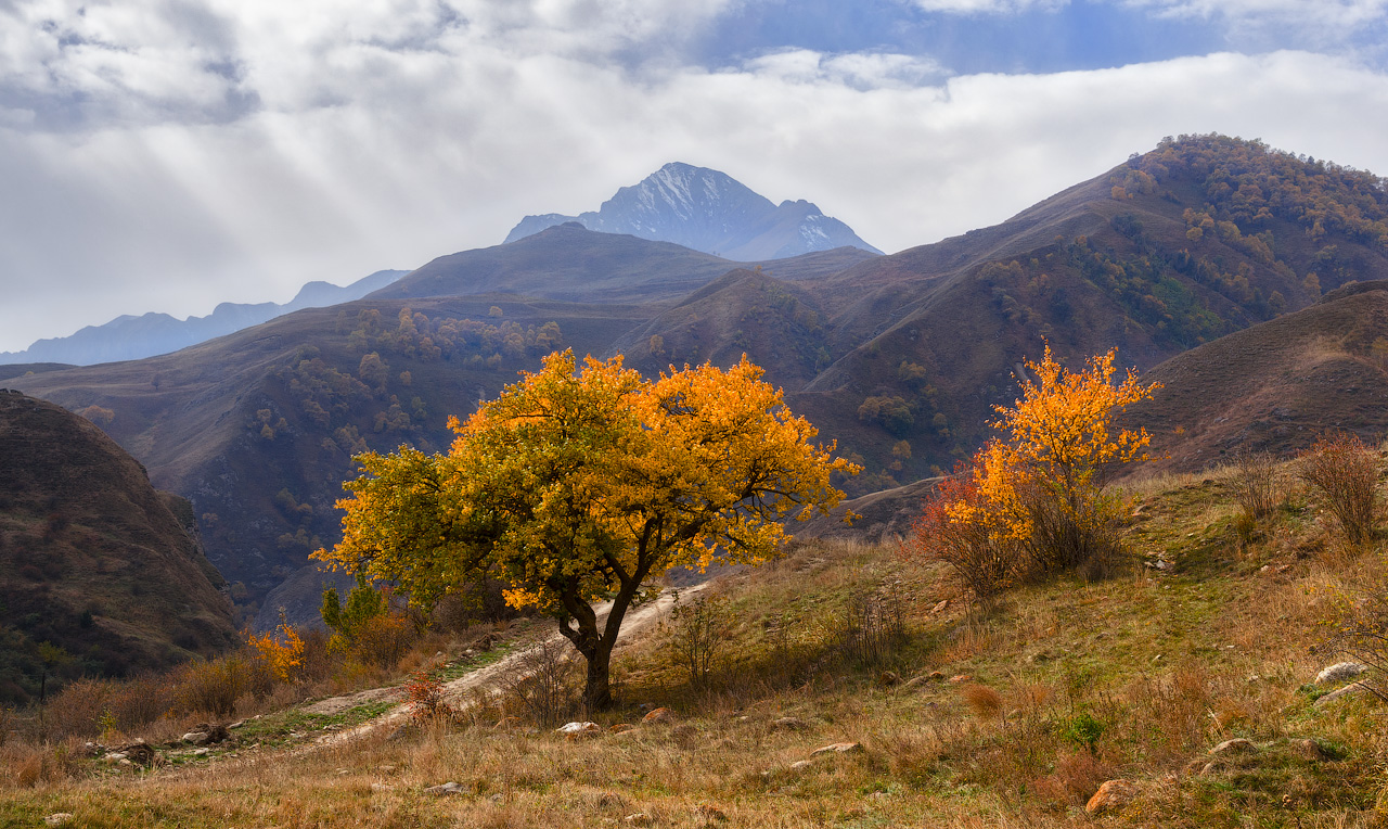 photo "***" tags: landscape, Russia, Кавказ, Чегемское ущелье