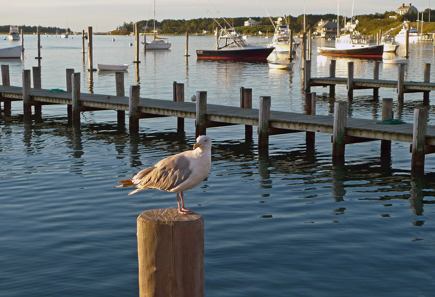 photo "***" tags: landscape, travel, 