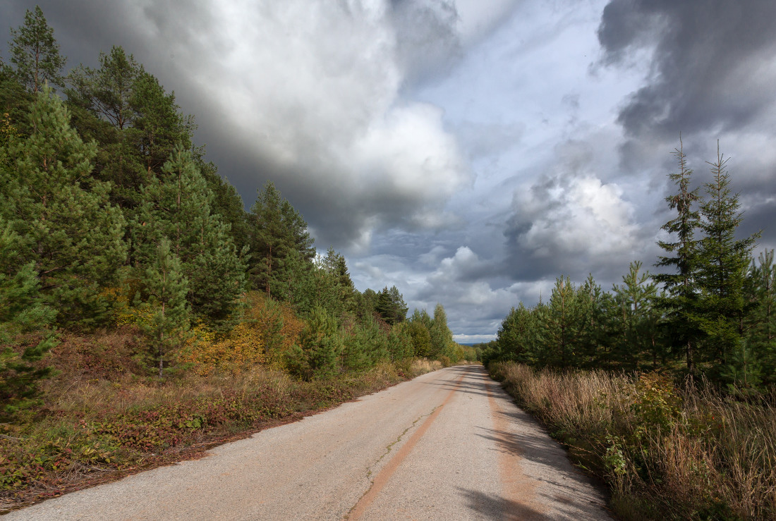 photo "***" tags: landscape, clouds, forest, road, summer, тени, тучи