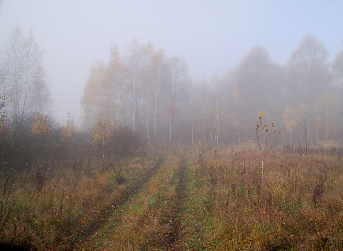 фото "Дорога в осень" метки: пейзаж, осень, туман, утро