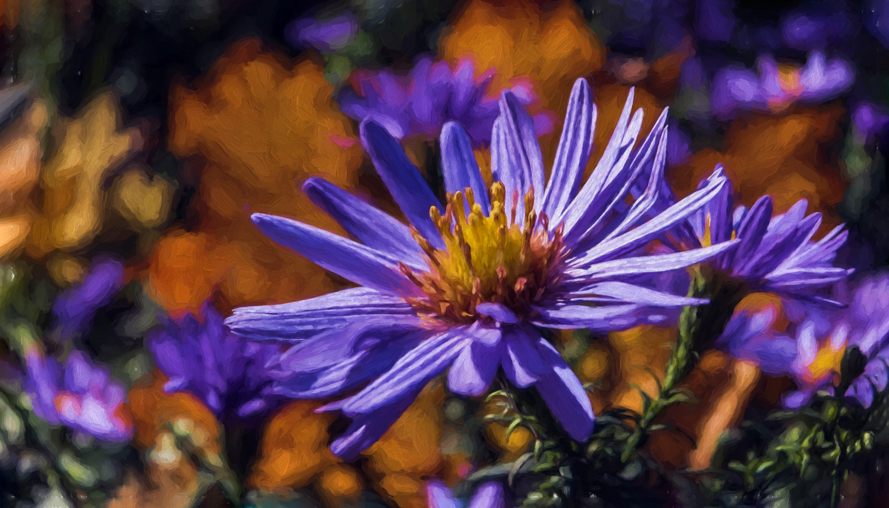 photo "***" tags: macro and close-up, 