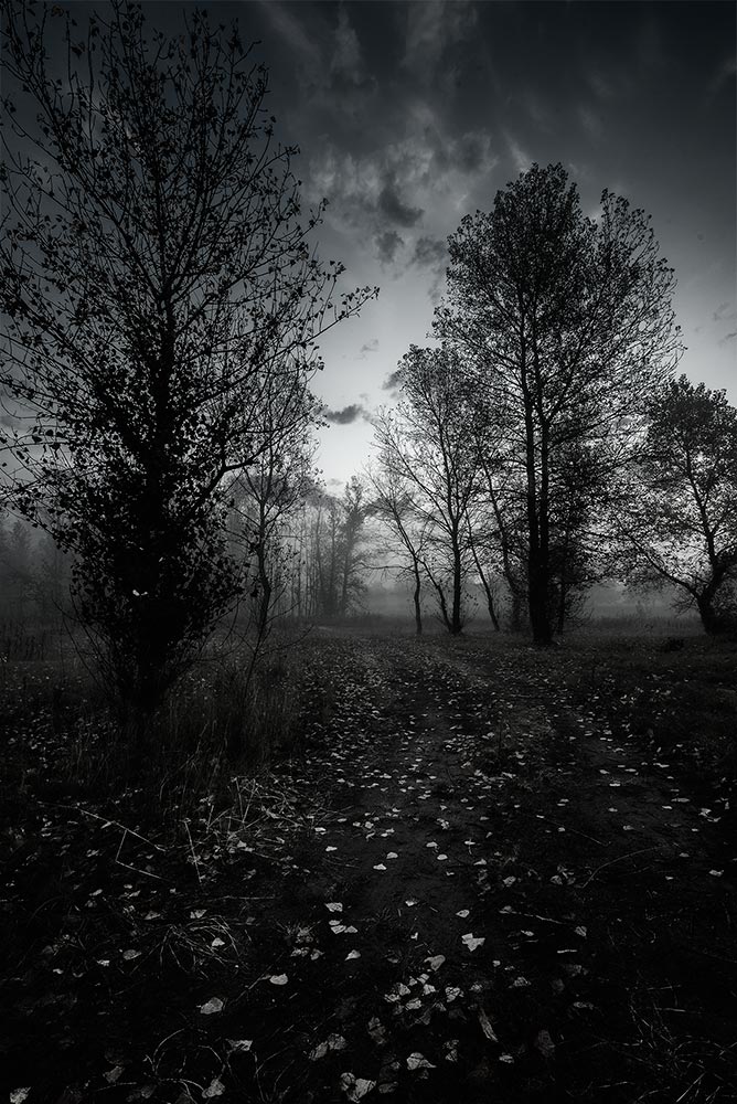 photo "***" tags: landscape, 