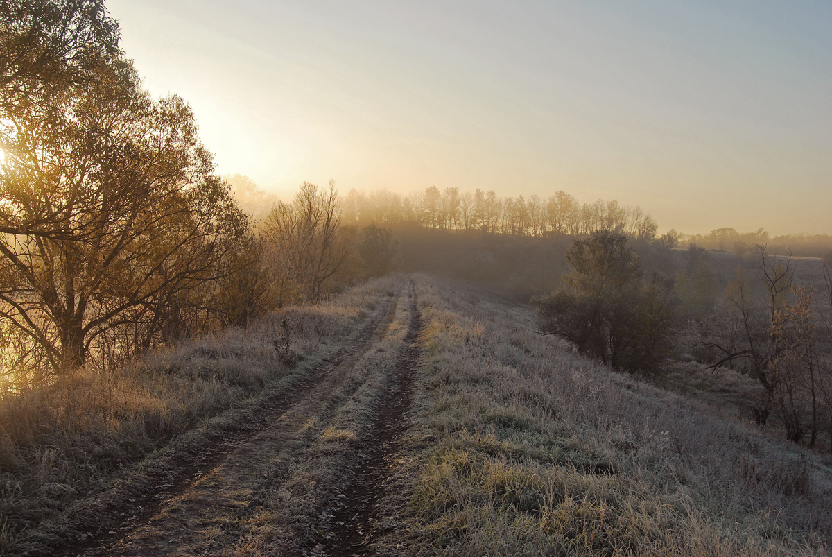 photo "***" tags: landscape, autumn, morning, sun