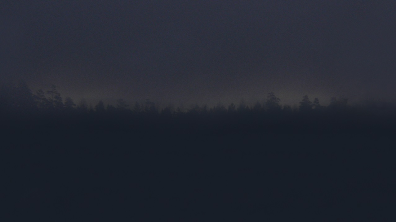 photo "Ночь,зима,сильный туман,скоро рассвет." tags: landscape, nature, forest, night, shadow, sunrise, winter, Мгла, силуэт, сильный туман