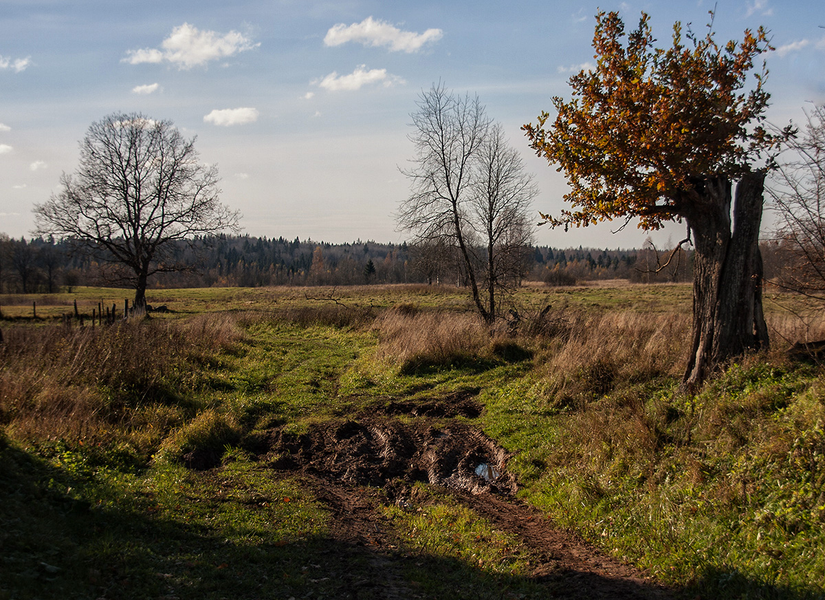 photo "***" tags: landscape, autumn, деревня, зарисовка