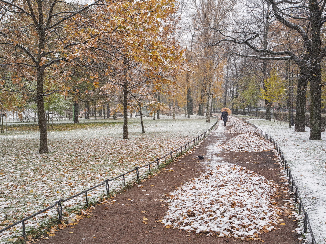 фото "Первый снег" метки: природа, город, 