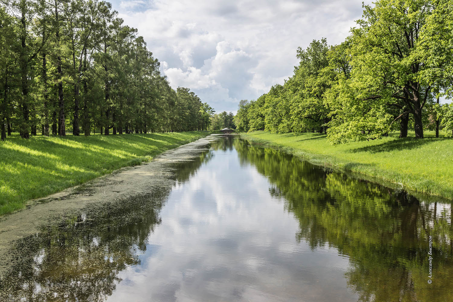 photo "***" tags: landscape, travel, nature, Russia, St. Petersburg, forest, lake, Русский лес, питер, царское село