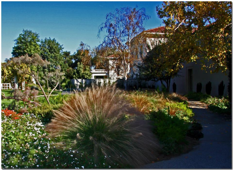 фото "***" метки: пейзаж, путешествия, природа, Huntington Gardens, Southern California, gardens