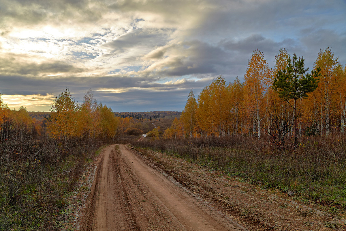 фото "Осенняя хандра" метки: , 