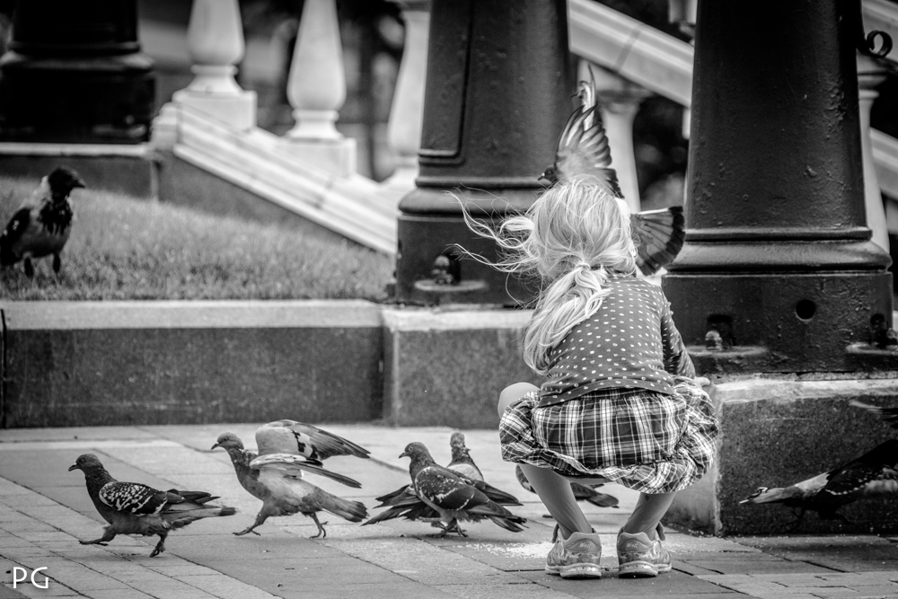 photo "***" tags: genre, street, children, птицы