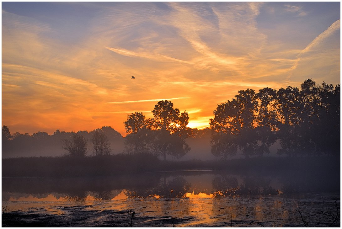 photo "***" tags: landscape, nature, 