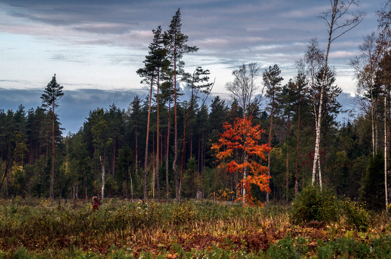 photo "***" tags: landscape, nature, 