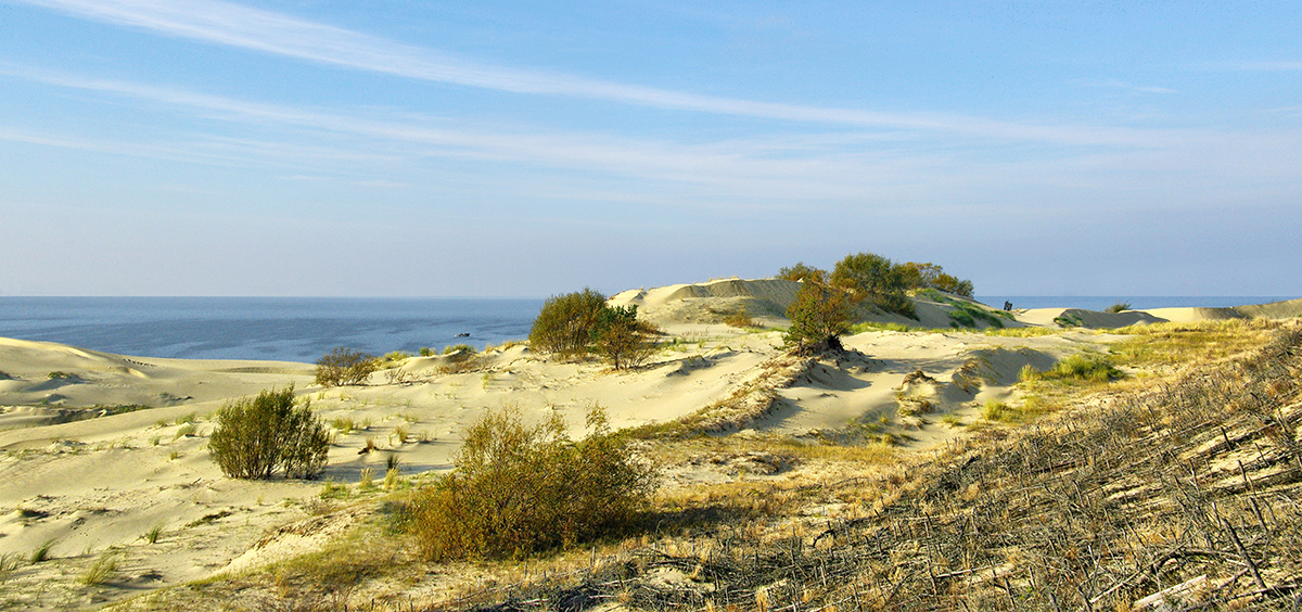 photo "***" tags: landscape, Куршская коса