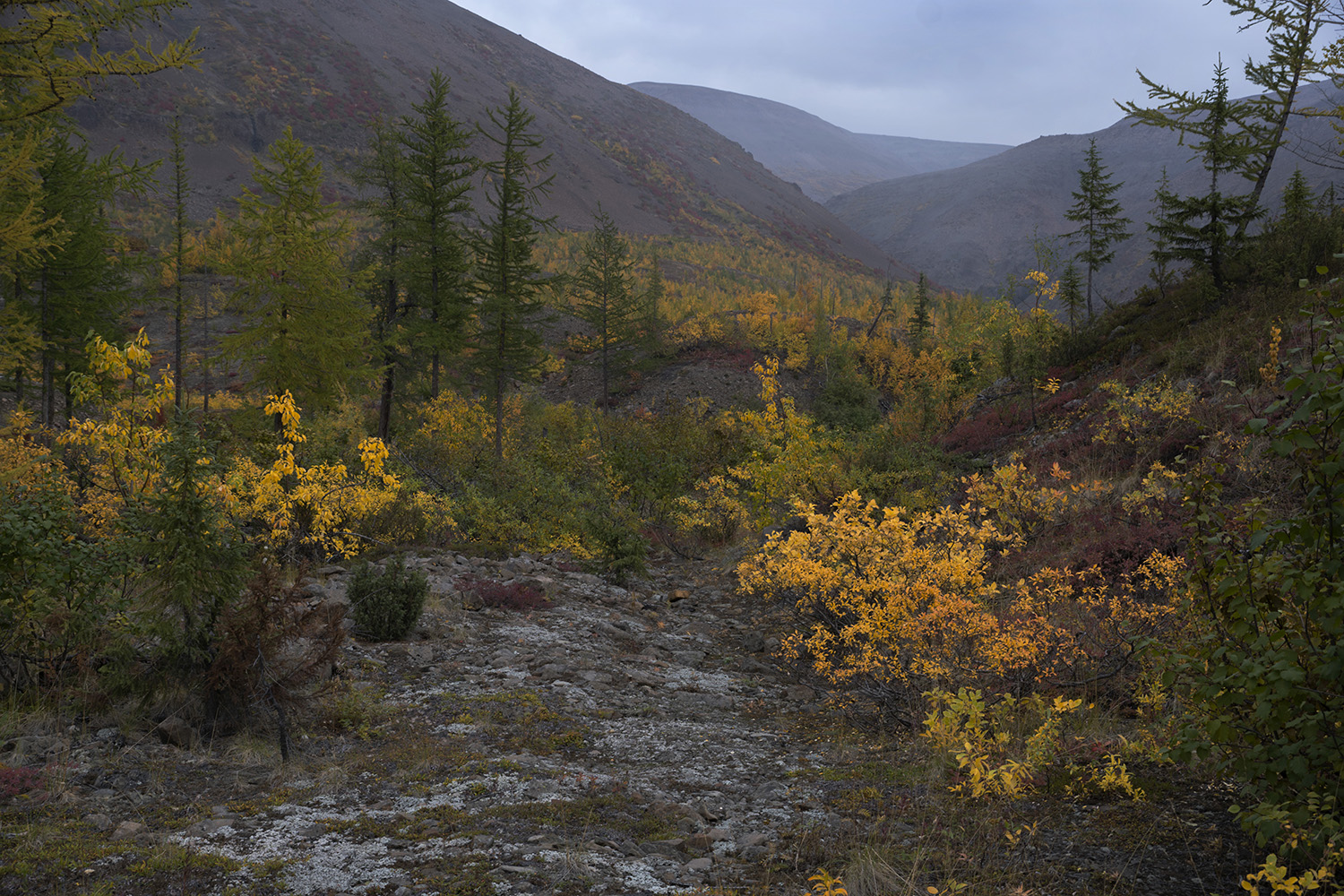 photo "Взба' иры" tags: landscape, 
