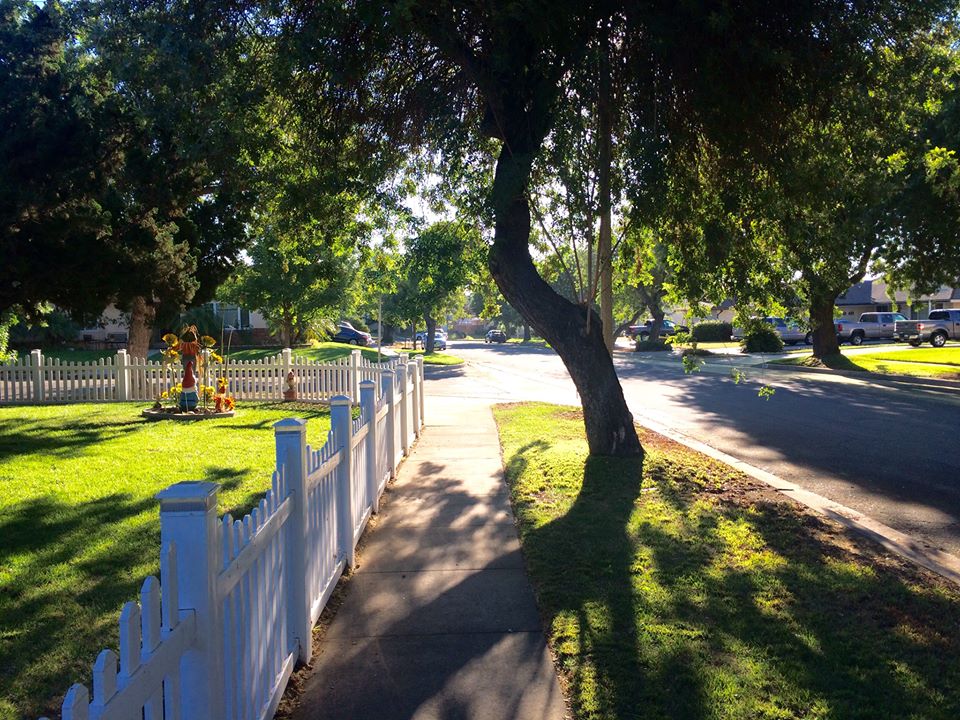 photo "Morning Walk" tags: street, landscape, 