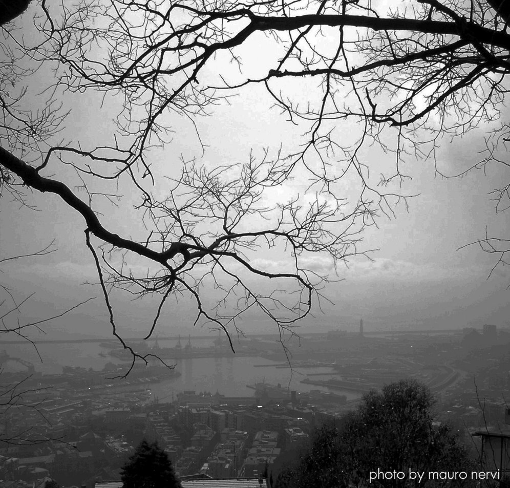 photo "from the hill" tags: black&white, 