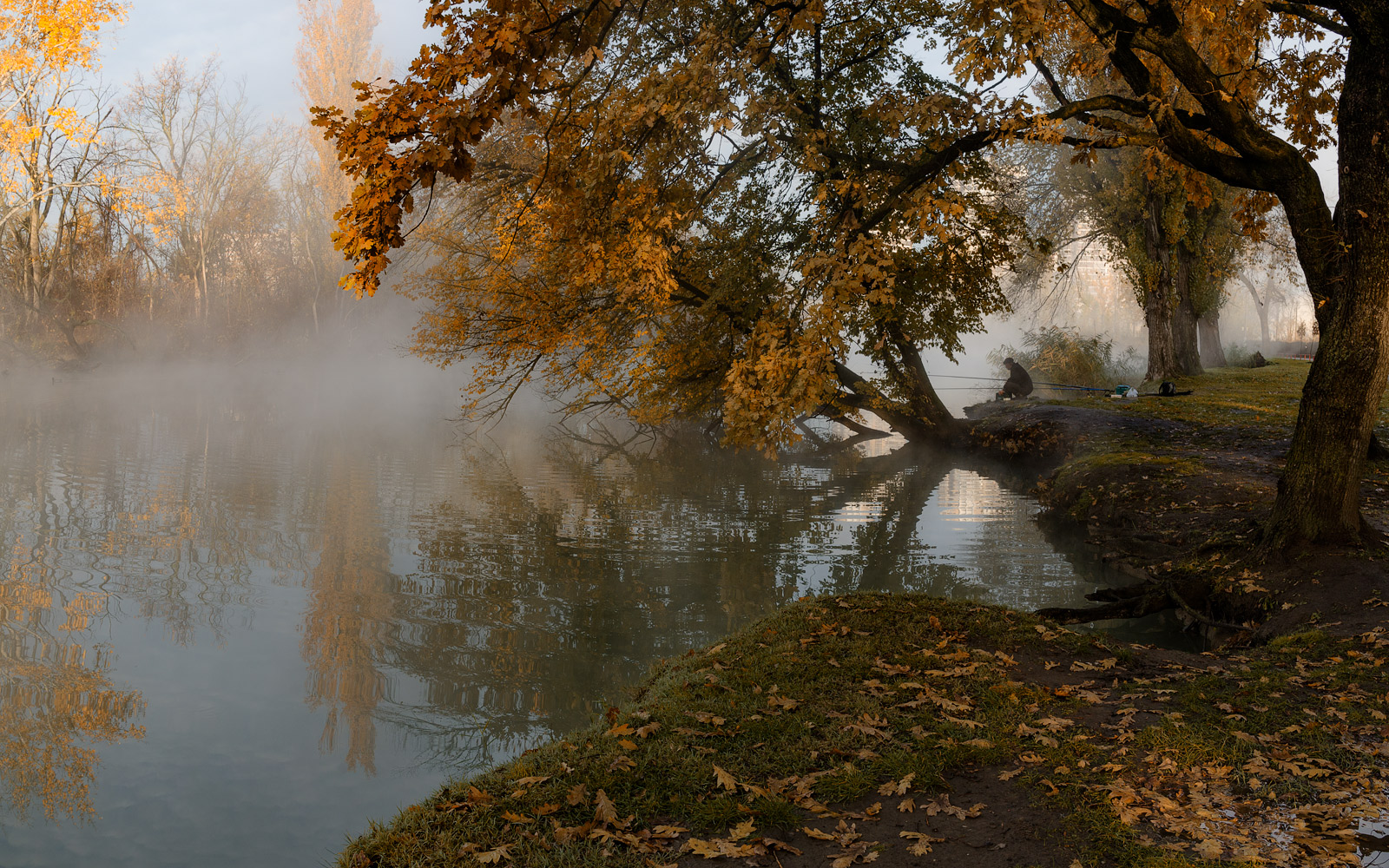 фото "Осени утро туманное" метки: пейзаж, 