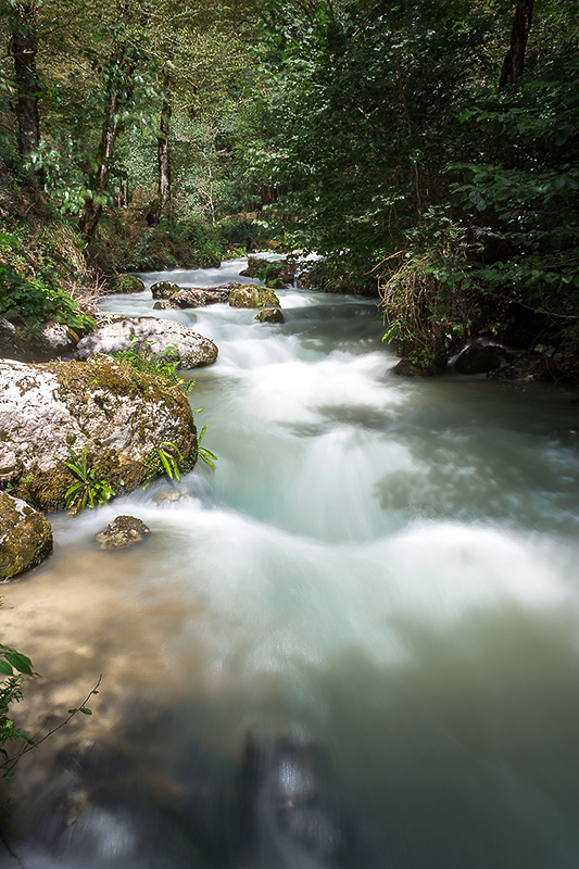 photo "***" tags: landscape, travel, nature, Абхазия