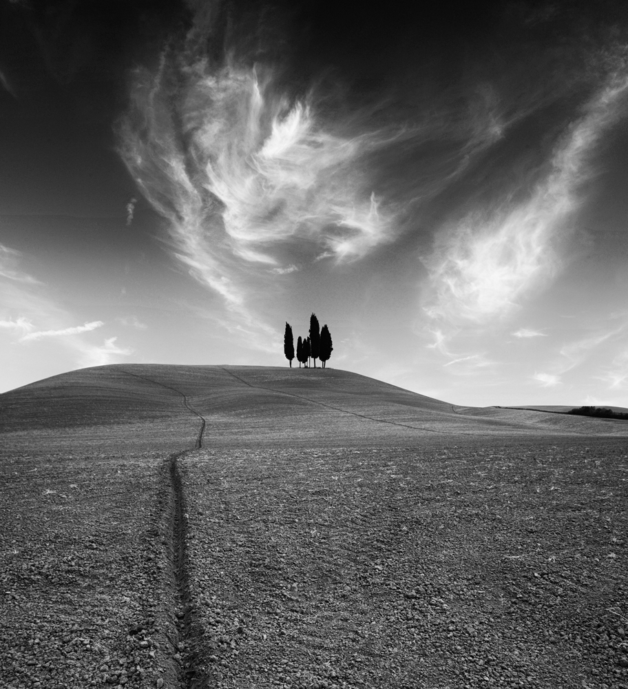 photo "Toskana 2008" tags: , 