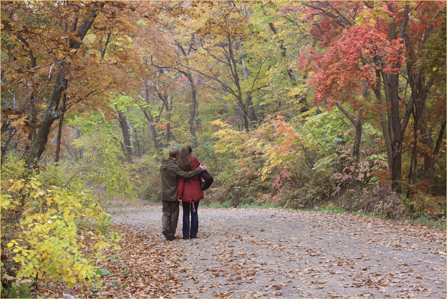 фото "Двое" метки: пейзаж, девушка., краски, осень, парень
