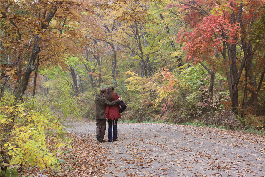 photo "***" tags: landscape, autumn, девушка., краски, парень