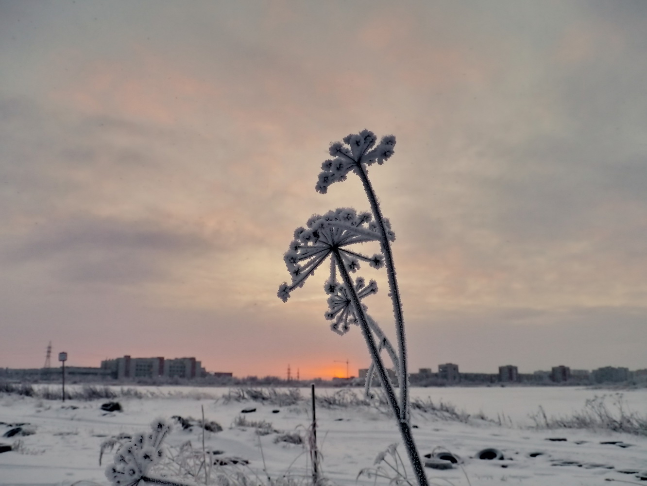 фото """"""" метки: разное, 