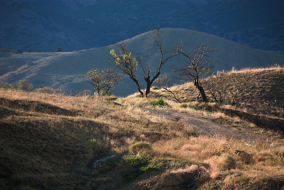 photo "On a decline" tags: landscape, nature, Crimea, autumn