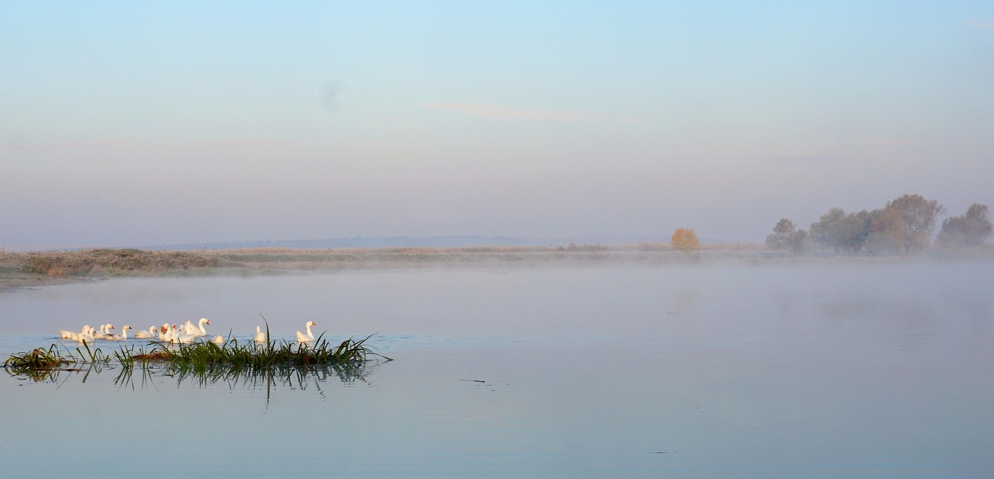 photo "***" tags: nature, landscape, misc., 