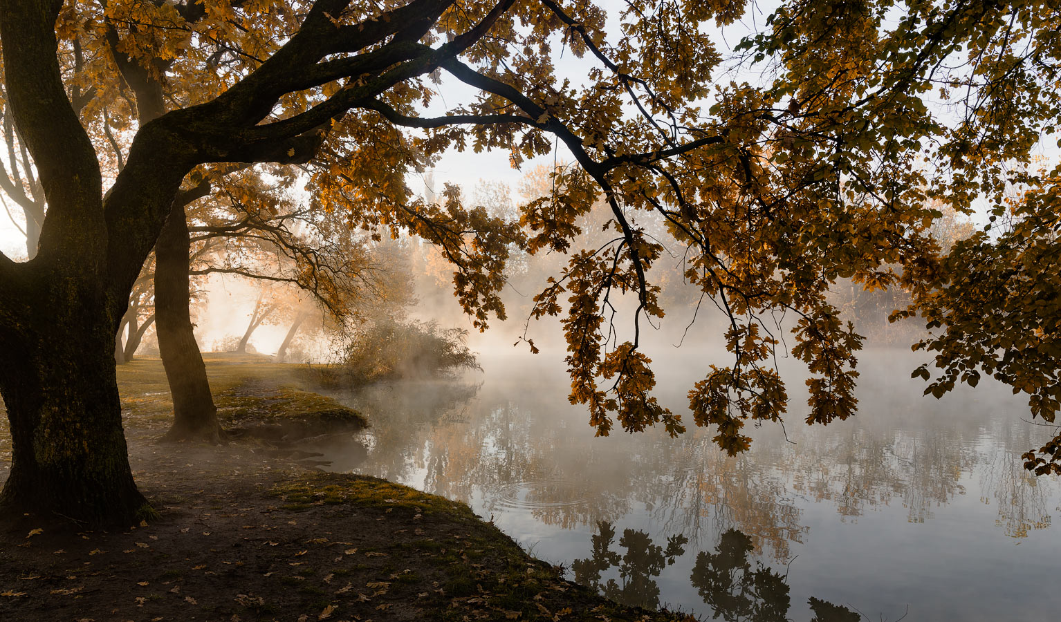 photo "Morning landscape photographer" tags: landscape, nature, travel, 