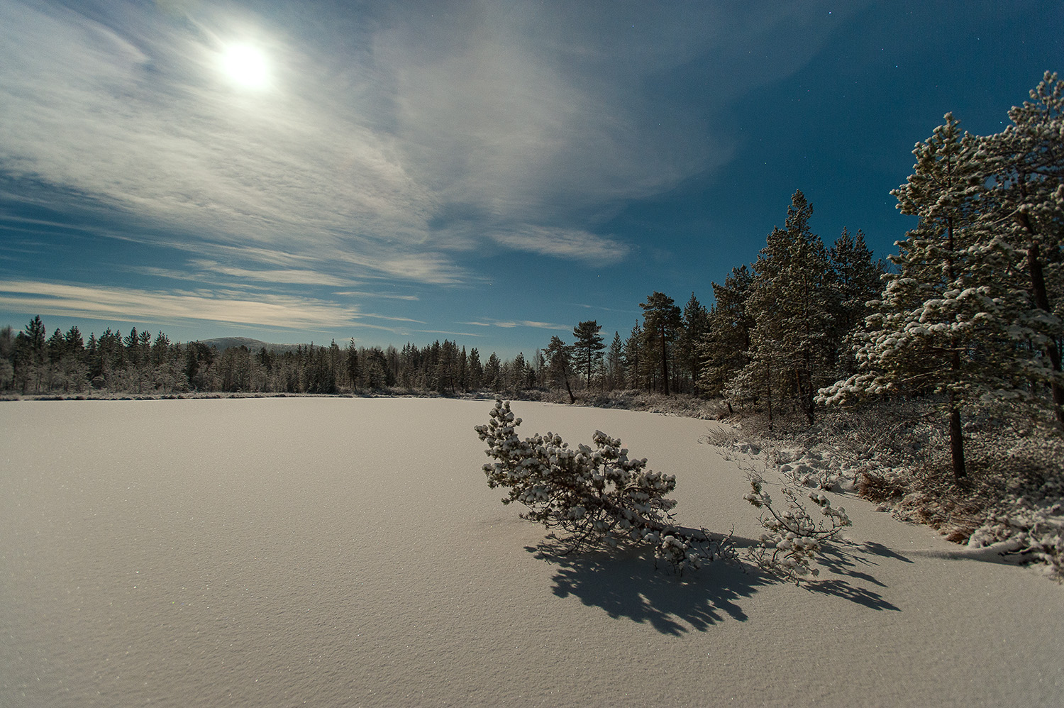 photo "***" tags: landscape, nature, forest, night, winter