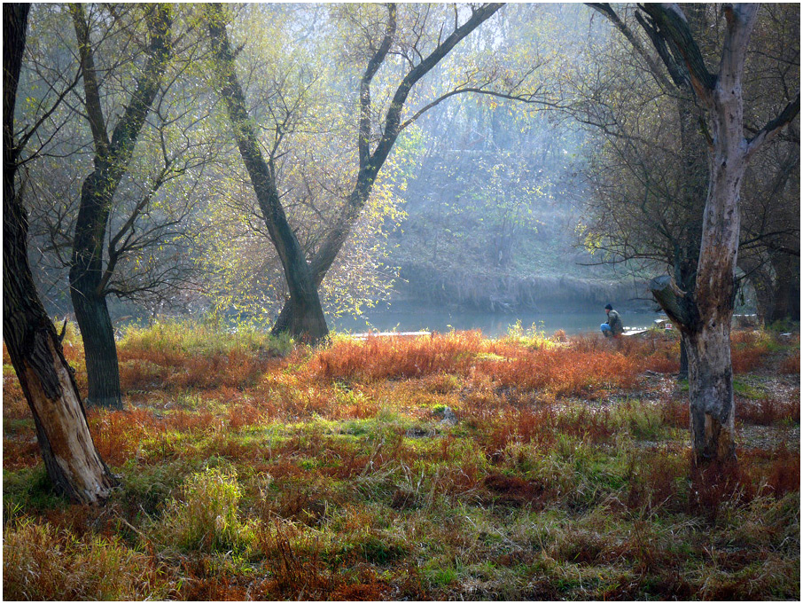 фото "***" метки: пейзаж, 