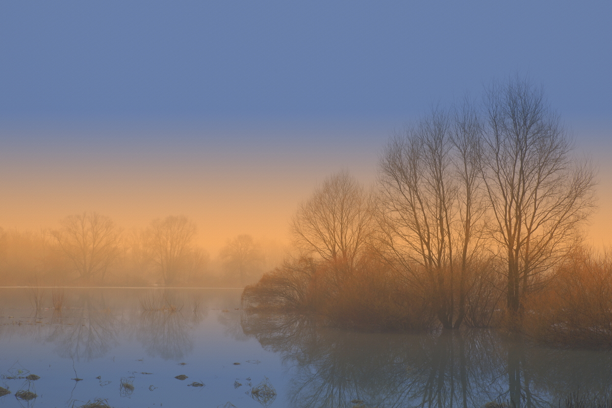 photo "***" tags: landscape, 