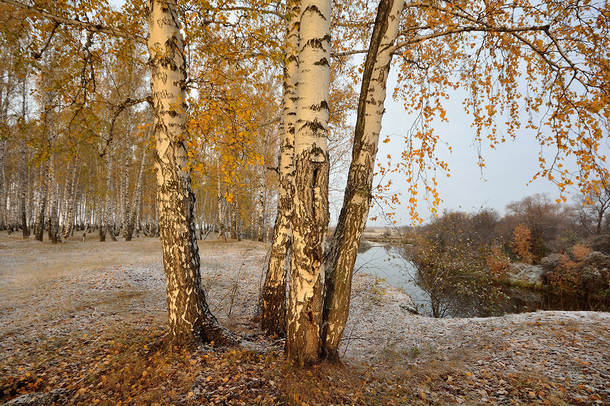 фото "***" метки: пейзаж, 