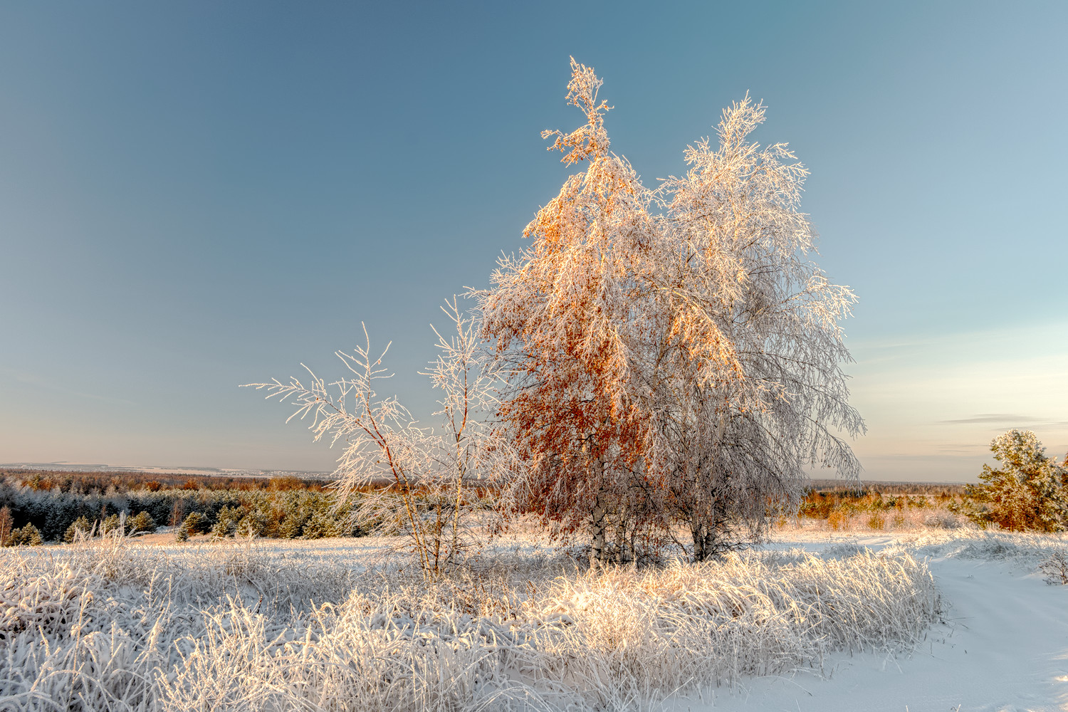 фото "Смена наряда" метки: пейзаж, 