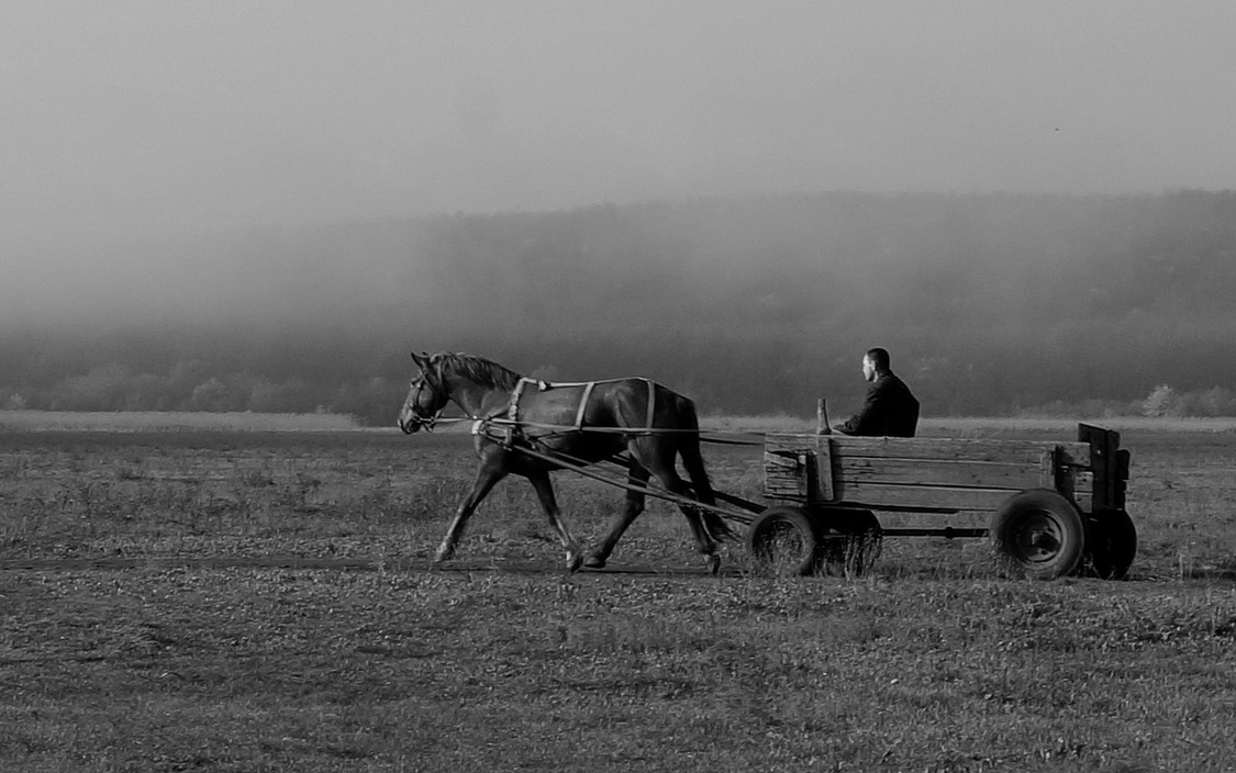 photo "***" tags: genre, travel, nature, 