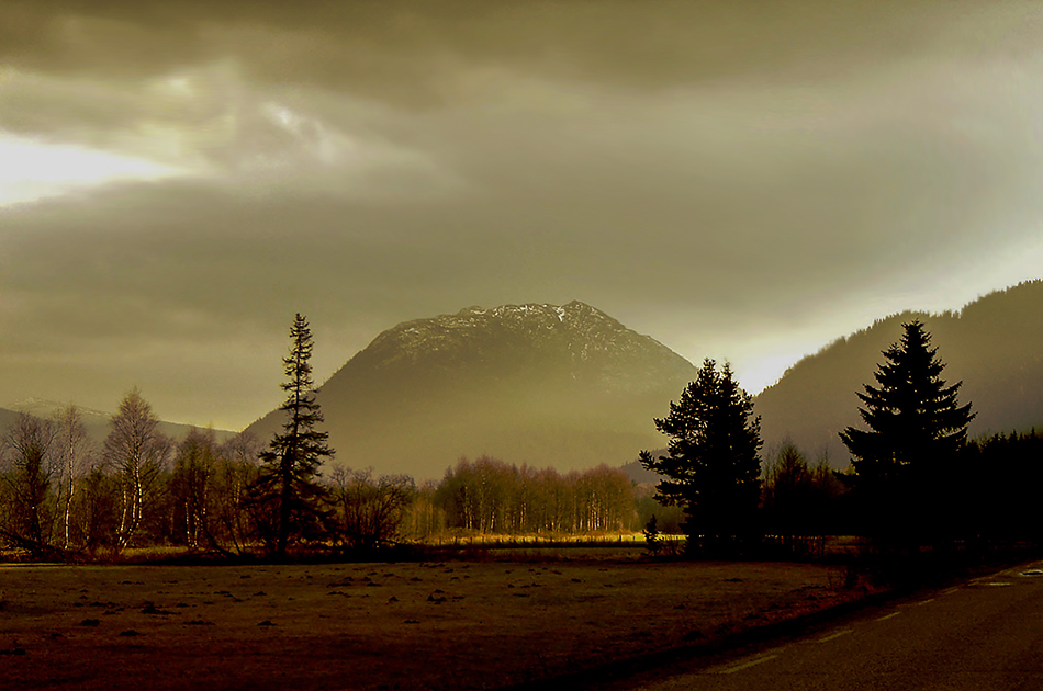 photo "After the rain" tags: landscape, 
