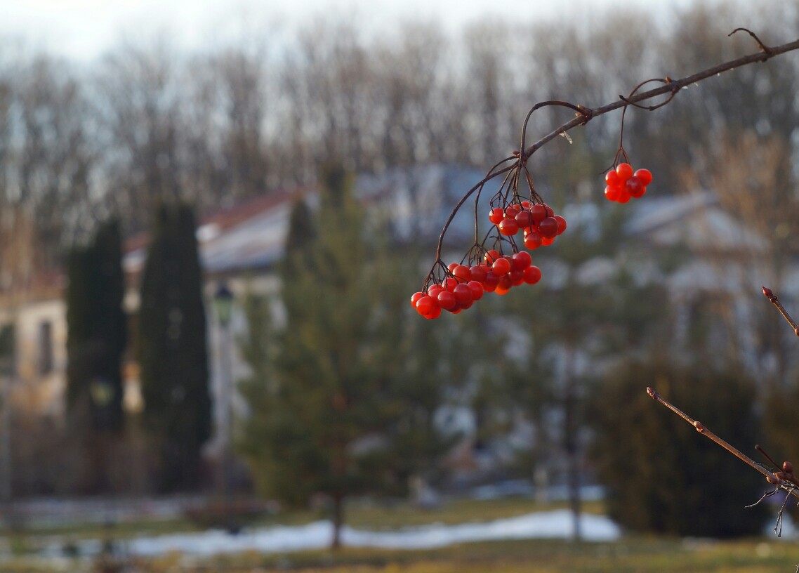 фото "С.Хотинь." метки: , 