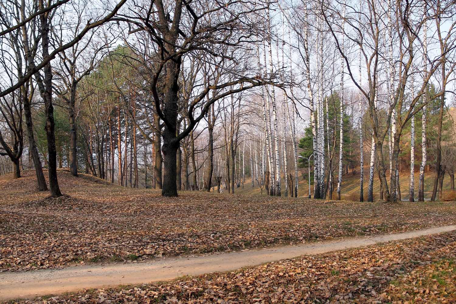 фото "Осенний пейзаж" метки: пейзаж, природа, осенний пейзаж, осень
