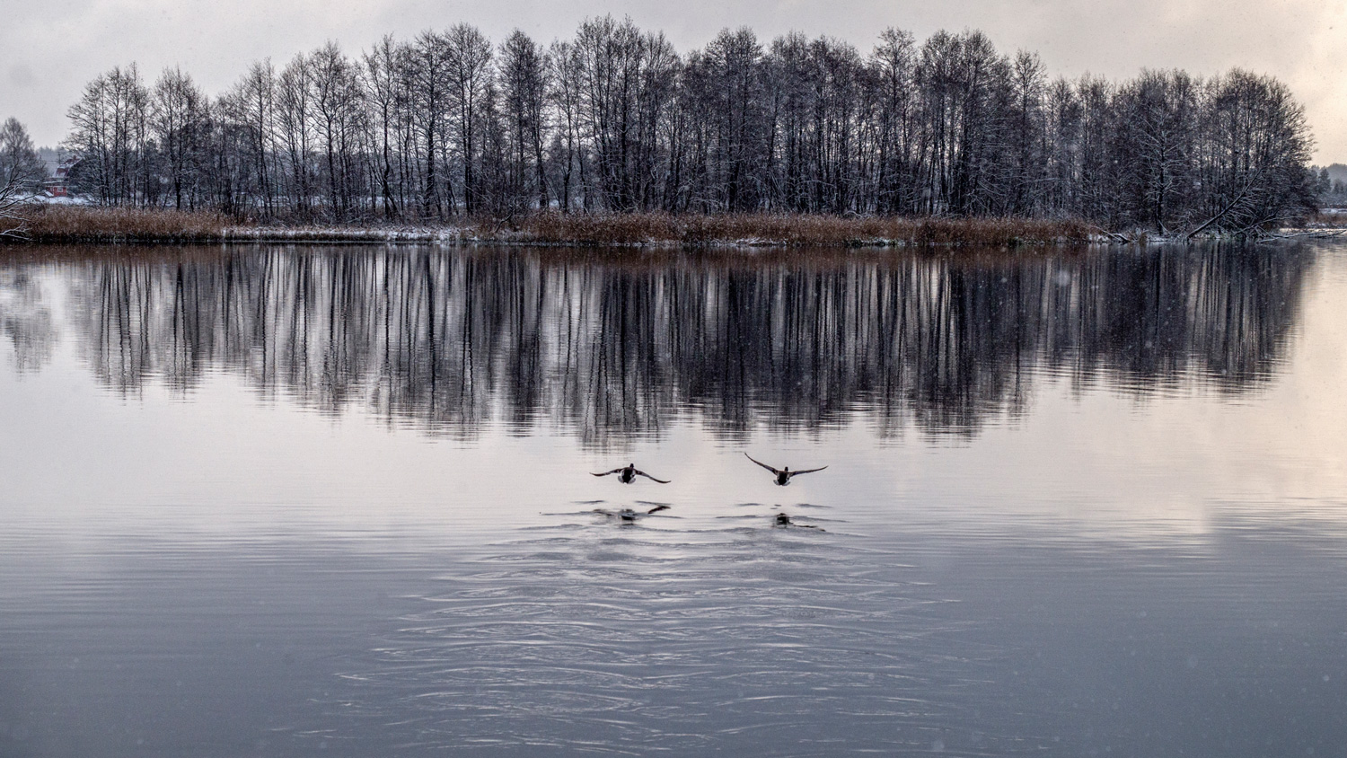 фото "Пейзаж" метки: пейзаж, природа, 