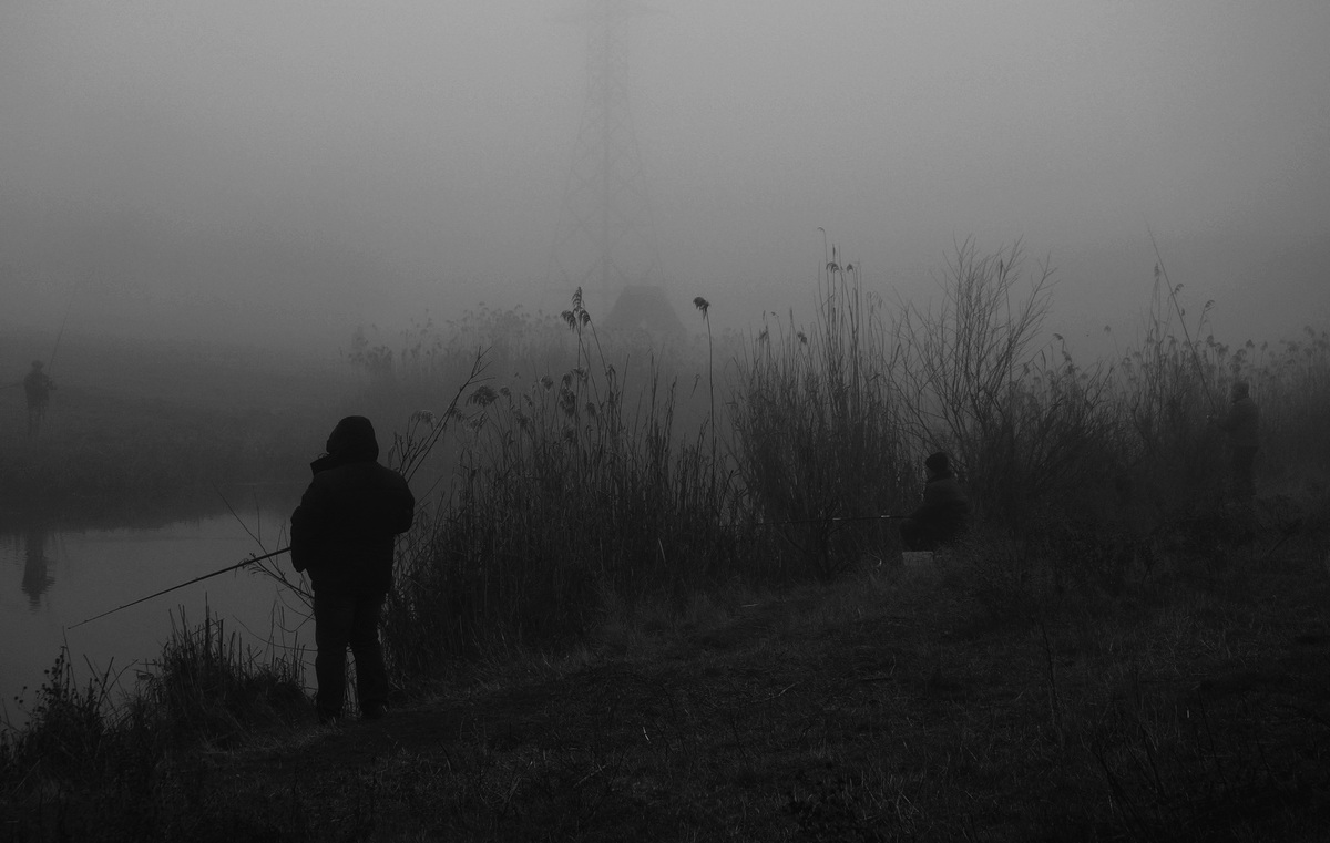 photo "***" tags: genre, nature, black&white, 