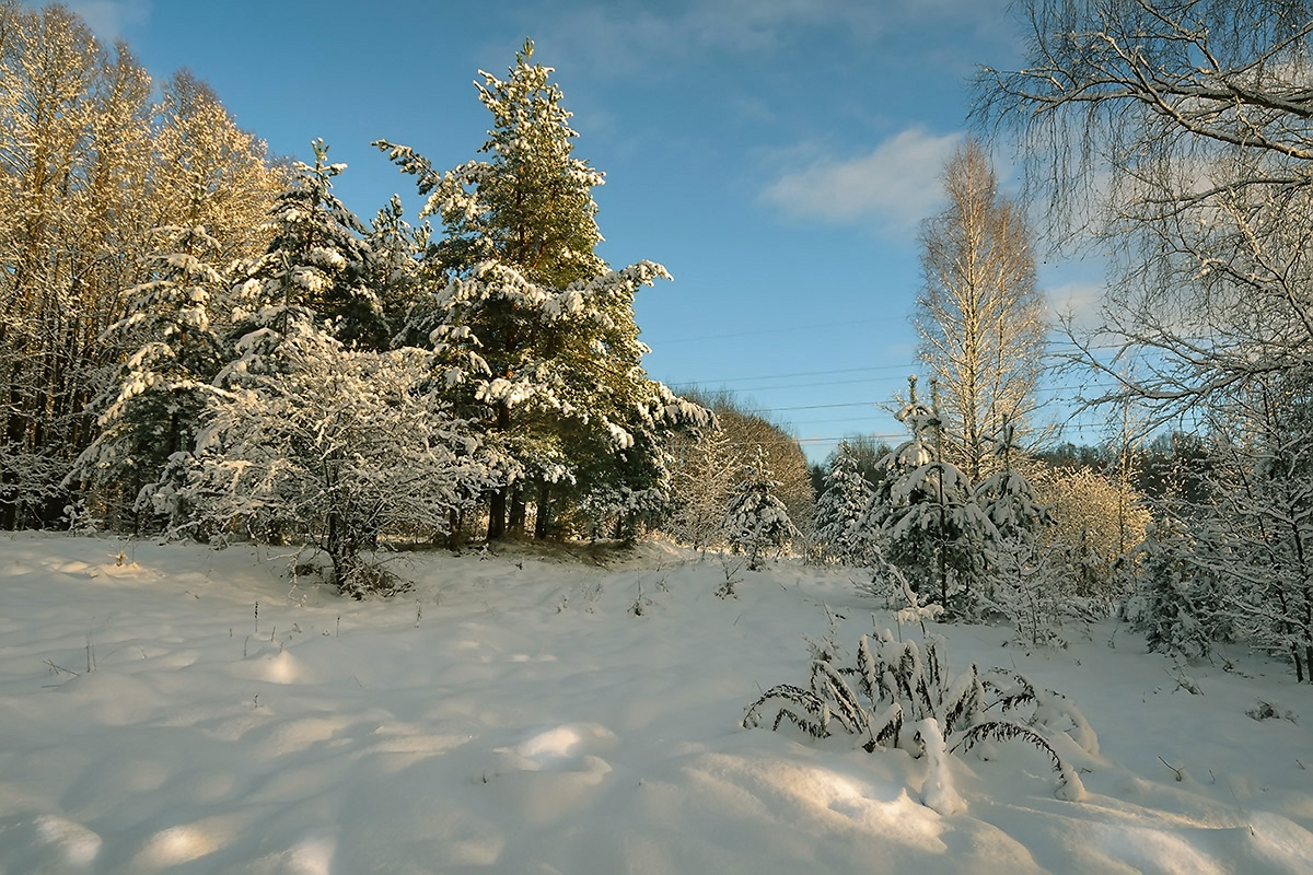 photo "***" tags: landscape, nature, clouds, sky, winter, деревья